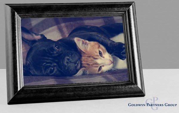 Goldwyn Partners Group AG – Marketresponse 2016